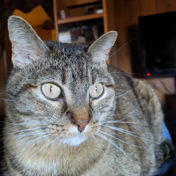 Meet the Posher - Picture 5 of 5